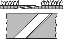 Belt ends meet at a diagonal angle and evenly overlap. One end has a completely shaven stripe.